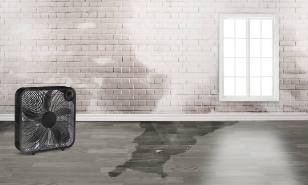 Best 24-hour water damage restoration  in Haskell, OK
