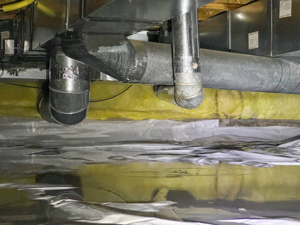 Best Basement water damage restoration  in Haskell, OK