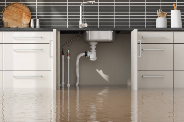 Best Flood damage cleanup  in Haskell, OK