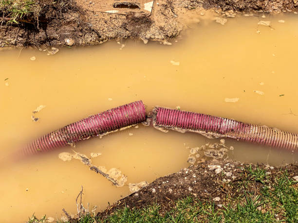Best Water damage cleanup near me  in Haskell, OK