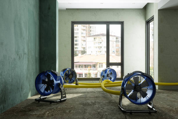 Best Ceiling water damage repair  in Haskell, OK