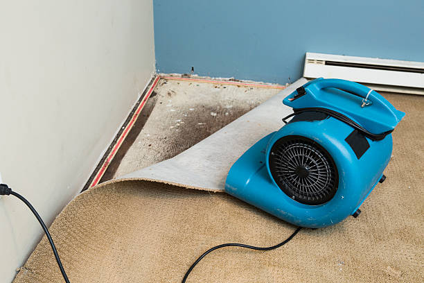 Best Sewage cleanup and water damage restoration  in Haskell, OK